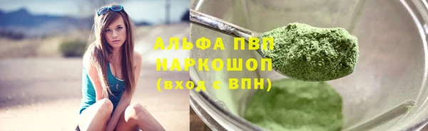ПСИЛОЦИБИНОВЫЕ ГРИБЫ Чекалин