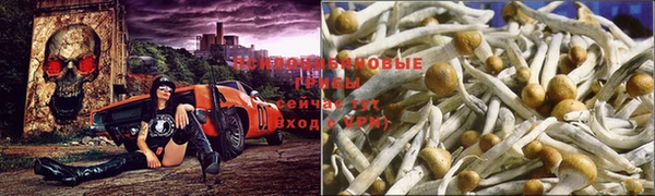 бутик Гусев